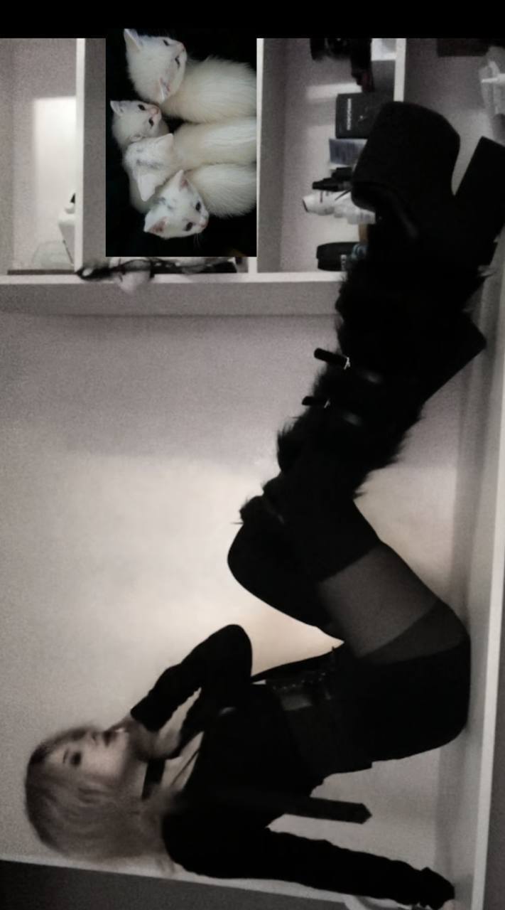 lexxi